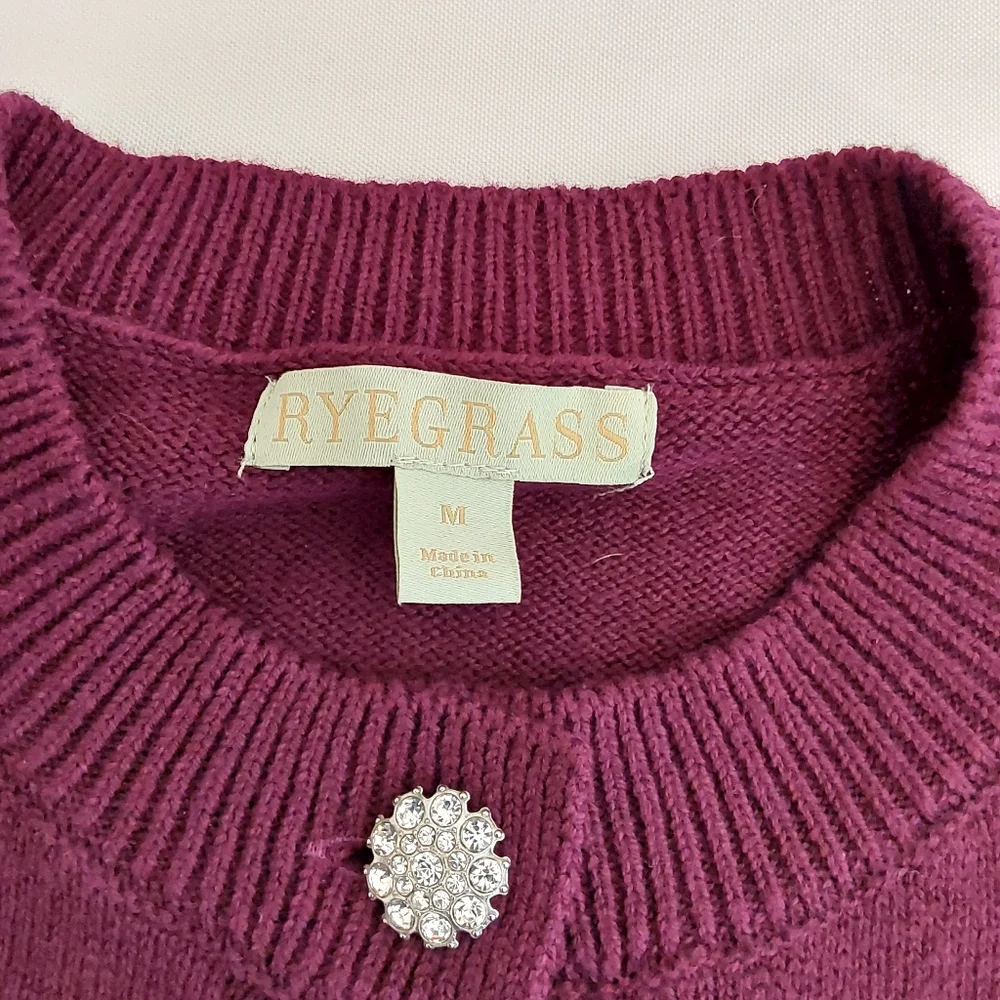 Ryegrass Buttons Rhinestone Sweater - Picture 5 of 8